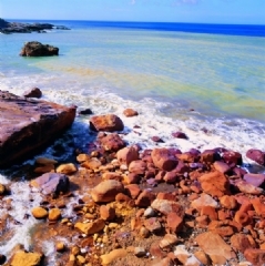 環(huán)境污染 環(huán)境污染